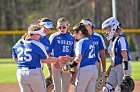 Softball vs Springfield  Wheaton College Softball vs Springfield College. - Photo by Keith Nordstrom : Wheaton, Softball